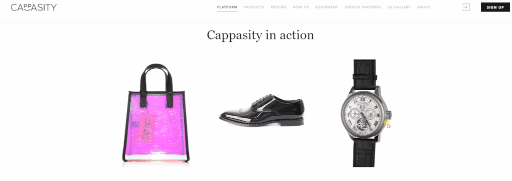 cappasity website