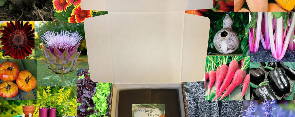 Gardening subscription boxes