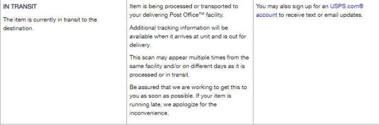 What Does In Transit Mean? USPS, FedEx and Shein