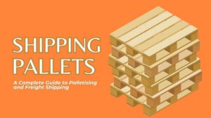 shipping pallets a complete guide to palletising and freight shipping